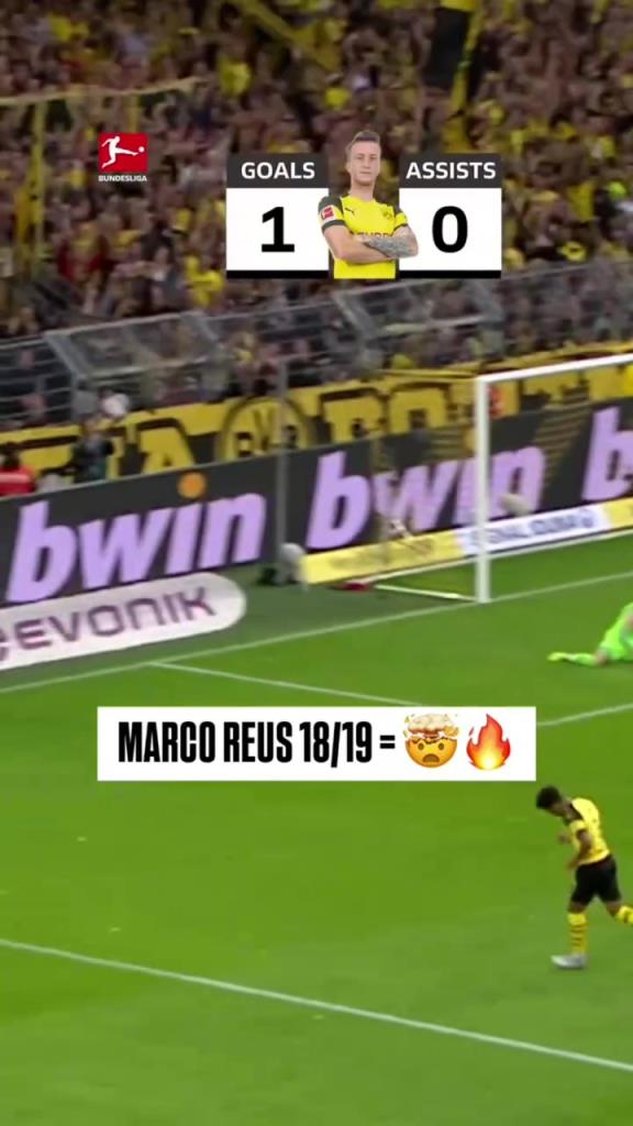 回憶殺！羅伊斯18/19賽季德甲快速回顧！精彩的一個賽季！